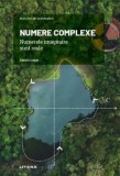Cumpara ieftin Mari idei ale matematicii. Numere complexe. Numerele imaginare sunt reale/Bartolo Luque, Litera