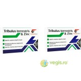 Pachet Tribulus Terrestris si Zinc 40cps+40cps