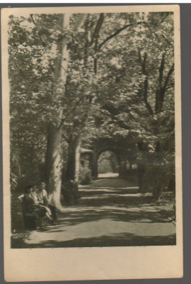 CPIB 15577 CARTE POSTALA - BUZIAS. VEDERE DIN PARC RPR LIBRARIA NOASTRA foto