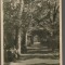 CPIB 15577 CARTE POSTALA - BUZIAS. VEDERE DIN PARC RPR LIBRARIA NOASTRA