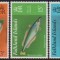FALKLAND - 1981 - PESTI