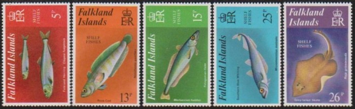 FALKLAND - 1981 - PESTI