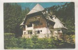 bnk cp Sinaia - Vila Randunica - necirculata