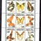 COMORES 1998 FAUNA INSECTE FLUTURI