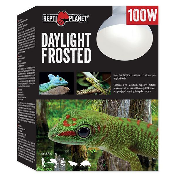 Bec REPTI PLANET Daylight Frosted 100W