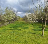 Proprietar Vand teren intravilan Craiova