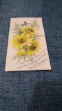 CARTE POSTALA FELICITARE CIRCULATA