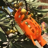 Cumpara ieftin Instrument de cules de fructe Kuster
