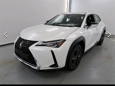 Lexus UX 250h foto