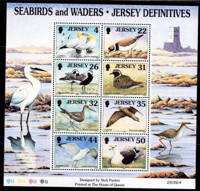 JERSEY 1998, Fauna, Pasari, bloc neuzat, MNH foto