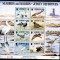 JERSEY 1998, Fauna, Pasari, bloc neuzat, MNH