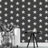 Sablon Perete vopsire, tencuiala 900x600x0.7mm Star Pattern Refolosibil, model MXSP7127, Oem