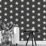 Cumpara ieftin Sablon Perete vopsire, tencuiala 900x600x0.7mm Star Pattern Refolosibil, model MXSP7127