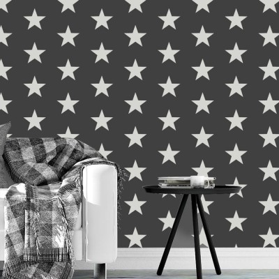 Sablon Perete vopsire, tencuiala 900x600x0.7mm Star Pattern Refolosibil, model MXSP7127 foto