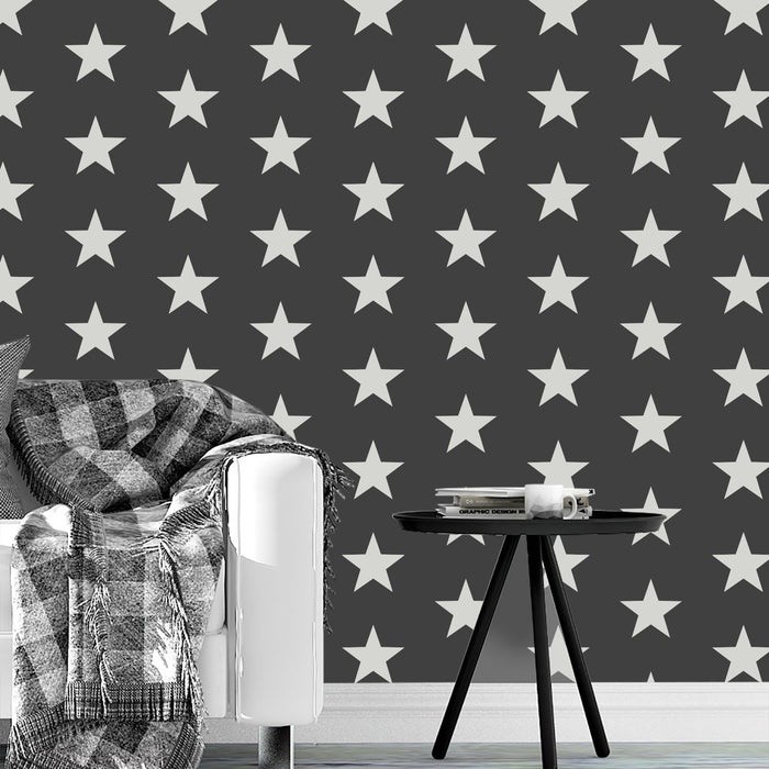 Sablon Perete vopsire, tencuiala 900x600x0.7mm Star Pattern Refolosibil, model MXSP7127
