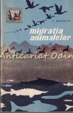 Migratiile Animalelor - G. Bogoescu, Societatea pt. Raspindirea Stiintei si Culturii, 1961, Bucuresti, 54 pagini, Cultura generala