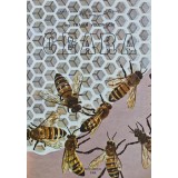 Ceara - 1988 - Traian Volcinschi (V384)