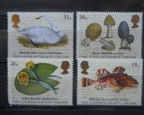 CV1 SERIE MAREA BRITANIE