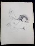 Lucretia Mihail Silion - Nuduri