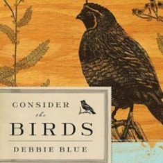 Consider the Birds: A Provocative Guide to Birds of the Bible