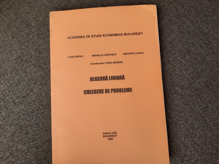 ALGEBRA LINIARA CULEGERE DE PROBLEME LUIZA BADIN/RADU SERBAN