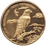 POLONIA 2 ZLOTI / ZLOTE 2008 , FAUNA : PASARI, SOIM - PEREGRINE FALCON , a UNC / UNC, KM 627