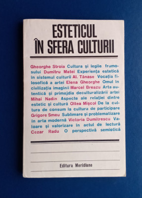 Esteticul &amp;icirc;n sfera culturii - foto