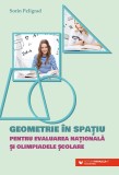 Geometrie in spatiu - Pentru Evaluarea Nationala si olimpiadele scolare