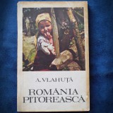 Cumpara ieftin ROMANIA PITOREASCA - A. VLAHUTA