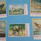 AJMAN, FAUNA AFRICANA - SERIE COMPLETA MNH