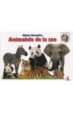 Animalele de la zoo - Silvia Ursache