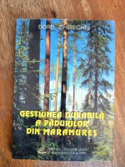 Gestiunea durabila a padurilor din Maramures - Dorel Chereches / R2P3F