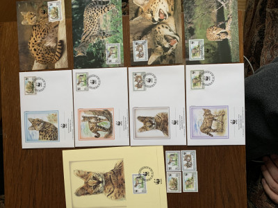 burundi - feline - serie 4 timbre MNH, 4 FDC, 4 maxime, fauna wwf foto