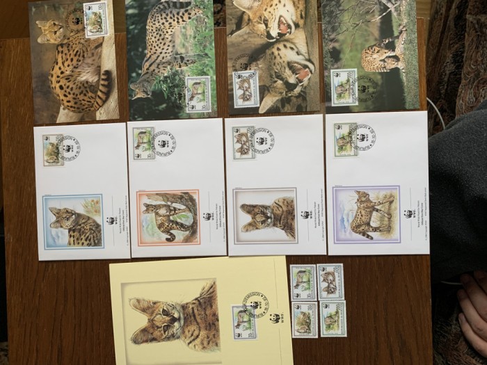 burundi - feline - serie 4 timbre MNH, 4 FDC, 4 maxime, fauna wwf