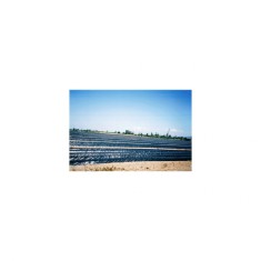 Folie mulcire 15 microni-0,8x 2400m