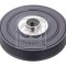 FEBI BILSTEIN 103789 Fulie curea, arbore cotit