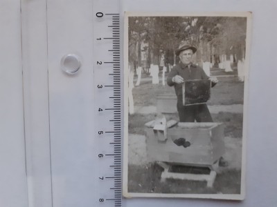 2 fotografii cu apicultori foto