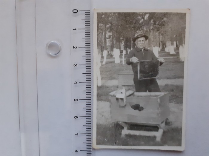 2 fotografii cu apicultori
