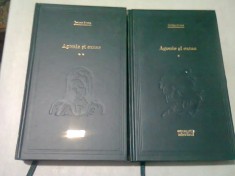 AGONIE SI EXTAZ - IRVING STONE 2 VOLUME