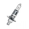 Bec halogen H1 24V