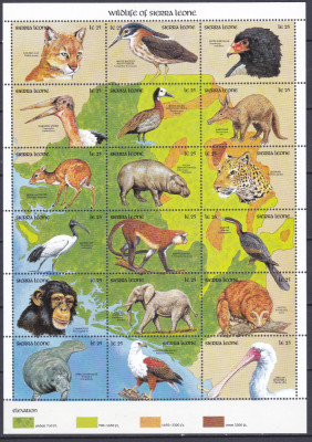 DB1 Fauna Africana Sierra Leone 1990 MS MNH foto
