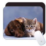 Caine și pisica : Cadou Mouse pad : Animale de companie Cațeluș Animal Draguț Canin Animale de companie Caini, Generic