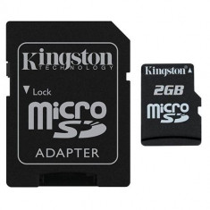 Card KINGSTON MicroSD 2GB foto