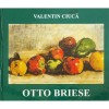 Valentin Ciuca, Otto Briese, 2002