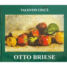 Valentin Ciuca, Otto Briese, 2002