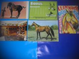 HOPCT LOT NR 413 CAI -FAUNA -5 CARTI POSTALE-NECIRCULATE