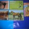 HOPCT LOT NR 413 CAI -FAUNA -5 CARTI POSTALE-NECIRCULATE