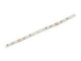 Bandă LED Alb Rece 24V 140 LED/m IP20