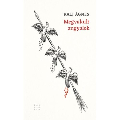 Megvakult angyalok - Kali &amp;Aacute;gnes foto