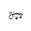 Set pompa apa + curea dintata CITROEN C3 II DAYCO KTBWP3100